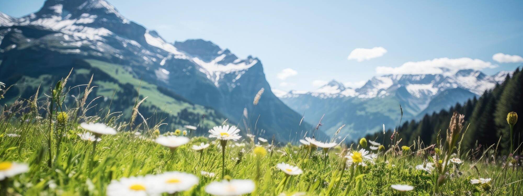 Sommerurlaub - Kaunertal