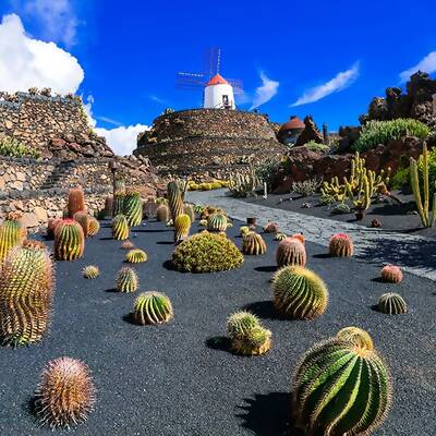 Lanzarote Trike Tour